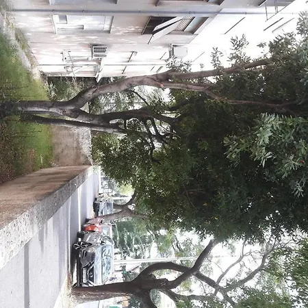Apartment Apartment Marino